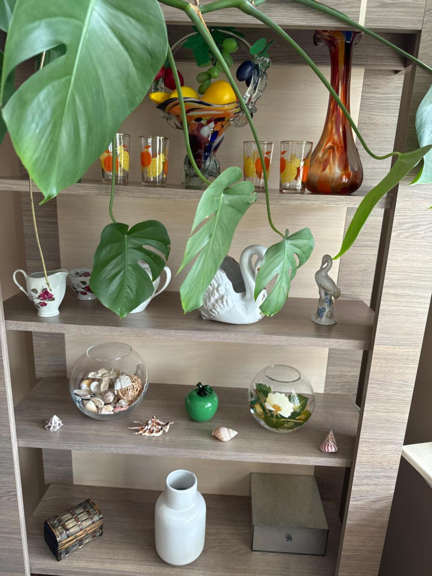Magnolia Apartmán